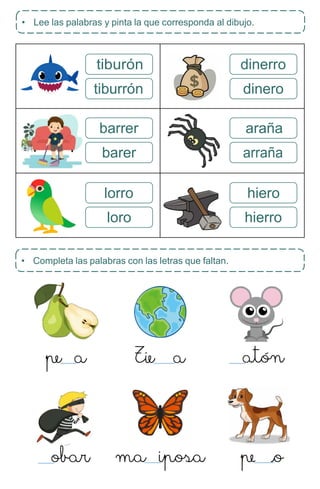 • Completa las palabras con las letras que faltan.
tiburón
tiburrón
dinerro
dinero
barrer
barer
araña
arraña
lorro
loro
hiero
hierro
• Lee las palabras y pinta la que corresponda al dibujo.
 