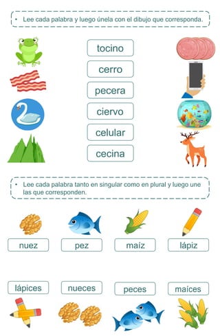 • Lee cada palabra tanto en singular como en plural y luego une
las que corresponden.
lápices nueces
lápiz
maíz
pez
nuez
• Lee cada palabra y luego únela con el dibujo que corresponda.
peces maíces
tocino
cerro
pecera
ciervo
celular
cecina
 