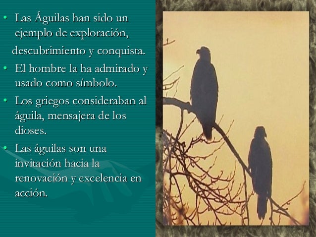 El Paso Del áGuila.El Ciclo De La Excelencia En AccióN
