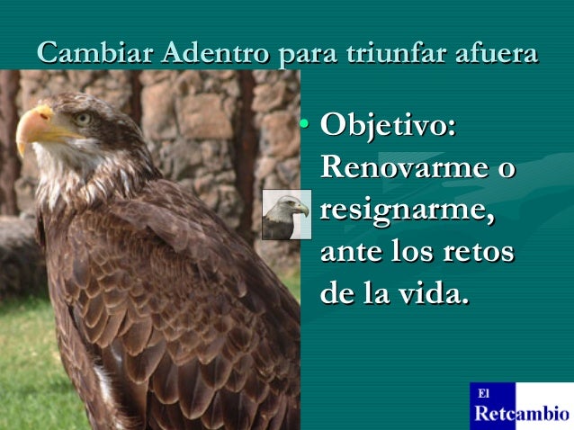 El Paso Del áGuila.El Ciclo De La Excelencia En AccióN