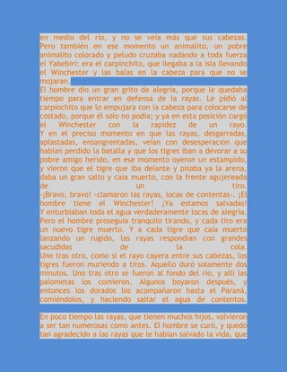 en medio del río, y no se veía más que sus cabezas.
Pero también en ese momento un animalito, un pobre
animalito colorado y peludo cruzaba nadando a toda fuerza
el Yabebirí: era el carpinchito, que llegaba a la isla llevando
el Winchester y las balas en la cabeza para que no se
mojaran.
El hombre dio un gran grito de alegría, porque le quedaba
tiempo para entrar en defensa de la rayas. Le pidió al
carpinchito que lo empujara con la cabeza para colocarse de
costado, porque él solo no podía; y ya en esta posición cargó
el Winchester con la rapidez de un rayo.
Y en el preciso momento en que las rayas, desgarradas,
aplastadas, ensangrentadas, veían con desesperación que
habían perdido la batalla y que los tigres iban a devorar a su
pobre amigo herido, en ese momento oyeron un estampido,
y vieron que el tigre que iba delante y pisaba ya la arena,
daba un gran salto y caía muerto, con la frente agujereada
de un tiro.
-¡Bravo, bravo! -clamaron las rayas, locas de contentas-. ¡El
hombre tiene el Winchester! ¡Ya estamos salvadas!
Y enturbiaban toda el agua verdaderamente locas de alegría.
Pero el hombre proseguía tranquilo tirando, y cada tiro era
un nuevo tigre muerto. Y a cada tigre que caía muerto
lanzando un rugido, las rayas respondían con grandes
sacudidas de la cola.
Uno tras otro, como si el rayo cayera entre sus cabezas, los
tigres fueron muriendo a tiros. Aquello duró solamente dos
minutos. Uno tras otro se fueron al fondo del río, y allí las
palometas los comieron. Algunos boyaron después, y
entonces los dorados los acompañaron hasta el Paraná,
comiéndolos, y haciendo saltar el agua de contentos.
En poco tiempo las rayas, que tienen muchos hijos, volvieron
a ser tan numerosas como antes. El hombre se curó, y quedó
tan agradecido a las rayas que le habían salvado la vida, que
 