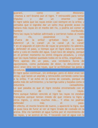 guaraní, como en Misiones).
-¡Vamos a ver!-bramó aún el tigre. Y retrocedió para tomar
impulso y dar un enorme salto.
El tigre sabía que las rayas están casi siempre en la orilla; y
pensaba que si lograba dar un salto muy grande acaso no
hallara más rayas en el medio del río, y podría así comer al
hombre moribundo.
Pero las rayas lo habían adivinado y corrieron todas al medio
del río, pasándose la voz:
-¡Fuera de la orilla! -gritaban bajo el agua-.
Adentro! ¡A la canal! ¡A la canal ¡A la canal!
Y en el segundo el ejército de rayas se precipitó río adentro,
a defender el paso, a tiempo que el tigre daba su enorme
salto y caía en medio del agua. Cayó loco de alegría, porque
en el primer momento no sintió ninguna picadura, y creyó
que las rayas habían quedado todas en la orilla, engañadas...
Pero apenas dio un paso, una verdadera lluvia de
aguijonazos, como puñaladas de dolor, lo detuvieron en
seco: eran otra vez las rayas, que le acribillaban las patas a
picaduras.
El tigre quiso continuar, sin embargo; pero el dolor eran tan
atroz, que lanzó un alarido y retrocedió corriendo como loco
a la orilla. Y se echó en la arena de costado, porque no
podía más de sufrimiento; y la barriga subía y bajaba como si
estuviera cansadísimo.
Lo que pasaba es que el tigre estaba envenenado con el
veneno de las rayas.
Pero aunque habían vencido al tigre las rayas no estaban
tranquilas porque tenían miedo de que viniera la tigra y
otros tigres, y otros muchos más... Y ellas no podrían
defender más el paso.
En efecto, el monte bramó de nuevo, y apareció la tigra, que
se puso loca de furor al ver al tigre tirado de costado en la
arena. Ella vio también el agua turbia por el movimiento de
las rayas, y se acercó al río. Y tocando casi el agua con la
 