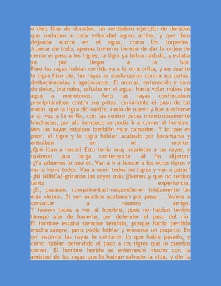 o diez filas de dorados, un verdadero ejército de dorados
que nadaban a toda velocidad aguas arriba, y que iban
dejando surcos en el agua, como los torpedos.
A pesar de todo, apenas tuvieron tiempo de dar la orden de
cerrar el paso a los tigres; la tigra ya había nadado, y estaba
ya por llegar a la isla.
Pero las rayas habían corrido ya a la otra orilla, y en cuanto
la tigra hizo pie, las rayas se abalanzaron contra sus patas,
deshaciéndolas a aguijonazos. El animal, enfurecido y loco
de dolor, bramaba, saltaba en el agua, hacía volar nubes de
agua a manotones. Pero las rayas continuaban
precipitándose contra sus patas, cerrándole el paso de tal
modo, que la tigra dio vuelta, nadó de nuevo y fue a echarse
a su vez a la orilla, con las cuatro patas monstruosamente
hinchadas; por allí tampoco se podía ir a comer al hombre.
Mas las rayas estaban también muy cansadas. Y lo que es
peor, el tigre y la tigra habían acabado por levantarse y
entraban en el monte.
¿Qué iban a hacer? Esto tenía muy inquietas a las rayas, y
tuvieron una larga conferencia. Al fin dijeron:
-¡Ya sabemos lo que es. Van a ir a buscar a los otros tigres y
van a venir todos. Van a venir todos los tigres y van a pasar!
-¡NI NUNCA!-gritaron las rayas más jóvenes y que no tenían
tanta experiencia.
-¡Sí, pasarán. compañeritas!-respondieron tristemente las
más viejas-. Si son muchos acabarán por pasar... Vamos a
consultar a nuestro amigo.
Y fueron todos a ver al hombre, pues no habían tenido
tiempo aún de hacerlo, por defender el paso del río.
El hombre estaba siempre tendido, porque había perdido
mucha sangre, pero podía hablar y moverse un poquito. En
un instante las rayas le contaron lo que había pasado, y
cómo habían defendido el paso a los tigres que lo querían
comer. El hombre herido se enterneció mucho con la
amistad de las rayas que le habían salvado la vida, y dio la
 
