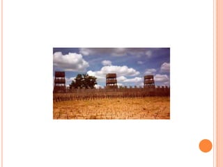 El paso rubicon. nicole