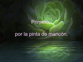 Primero,

por la pinta de maricón.
 