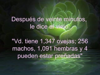 Después de veinte minutos,
     le dice al viejo:

"Vd. tiene 1,347 ovejas; 256
machos, 1,091 hembras y 4
  pueden estar preñadas"
 