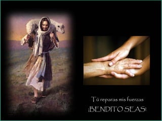 Tú reparas mis fuerzas
¡BENDITO SEAS!
 