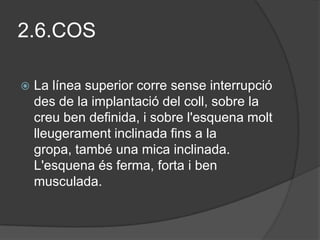 2.6.COS

   La línea superior corre sense interrupció
    des de la implantació del coll, sobre la
    creu ben definida, i sobre l'esquena molt
    lleugerament inclinada fins a la
    gropa, també una mica inclinada.
    L'esquena és ferma, forta i ben
    musculada.
 