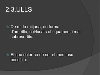 2.3.ULLS

   De mida mitjana, en forma
    d'ametlla, col·locats obliquament i mai
    sobresortits.



   El seu color ha de ser el més fosc
    possible.
 