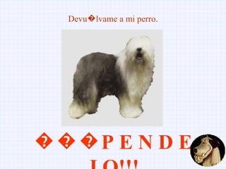 Devu�lvame a mi perro. ��� P E N D E J O!!! 