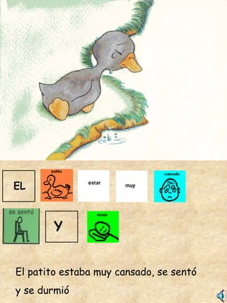El patito estaba muy cansado, se sentó  y se durmió EL Y 
