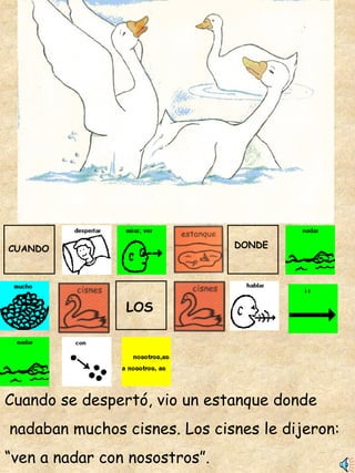 Cuando se despertó, vio un estanque donde nadaban muchos cisnes. Los cisnes le dijeron:  “ ven a nadar con nosostros”. CUANDO DONDE LOS 