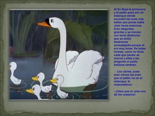Al fin llegó la primavera y el patito pasó por un estanque donde encontró las aves más bellas que jamás había visto hasta entonces. Eran elegantes, gráciles y se movían con tanta distinción que se sintió totalmente acomplejado porque él era muy torpe. De todas formas, como no tenía nada que perder se acercó a ellas y les preguntó si podía bañarse también.       Los cisnes, pues eran cisnes las aves que el patito vio en el estanque, le respondieron: - ¡Claro que sí, eres uno de los nuestros! 