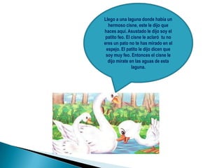 Llego a una laguna donde había un
hermoso cisne, este le dijo que
haces aquí. Asustado le dijo soy el
patito feo. El cisne le aclaró tu no
eres un pato no te has mirado en el
espejo. El patito le dijo dicen que
soy muy feo. Entonces el cisne le
dijo mírate en las aguas de esta
laguna.