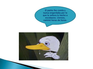 El patito feo comía y
nunca engordaba por lo
que la señora lo hecho a
escobazos. Lloroso,
caminó horas de horas.