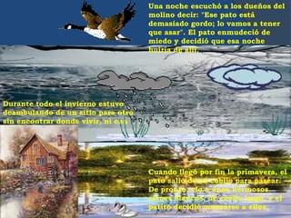 Durante todo el invierno estuvo
deambulando de un sitio para otro
sin encontrar donde vivir, ni con
quién.
Cuando llegó por fin la primavera, el
pato salió de su cobijo para pasear.
De pronto, vio a unos hermosos
cisnes blancos, de cuello largo, y el
patito decidió acercarse a ellos.
Una noche escuchó a los dueños del
molino decir: "Ese pato está
demasiado gordo; lo vamos a tener
que asar". El pato enmudeció de
miedo y decidió que esa noche
huiría de allí.
 