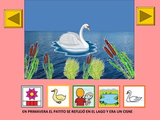 EN PRIMAVERA EL PATITO SE REFLEJÓ EN EL LAGO Y ERA UN CISNE
 