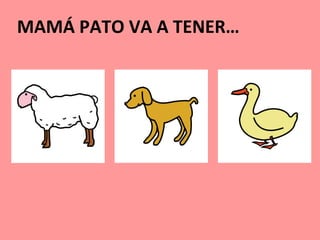 MAMÁ PATO VA A TENER…
 