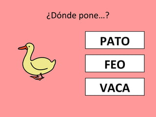 ¿Dónde pone…?
PATO
FEO
VACA
 