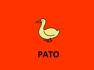PATO
 