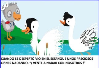 CUANDO SE DESPERTÓ VIO EN EL ESTANQUE UNOS PRECIOSOS
CISNES NADANDO. “¡ VENTE A NADAR CON NOSOTROS !”
