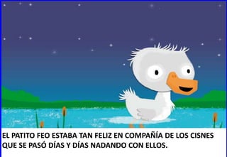 EL PATITO FEO ESTABA TAN FELIZ EN COMPAÑÍA DE LOS CISNES
QUE SE PASÓ DÍAS Y DÍAS NADANDO CON ELLOS.