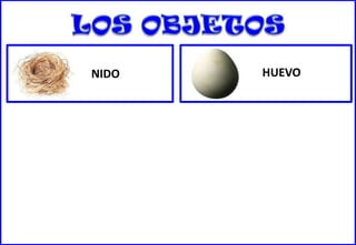 NIDO
HUEVO