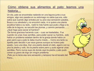 Cómo obtiene sus alimentos el pato: leamos una historia… Un día, pato se encontraba nadando en una laguna junto a sus amigos, algo raro pasaba en su estomago no sabia que era, sólo sabía que cuando algo entraba por su pico esa sensación pasaba.. Busco a su alrededor y no encontró nada, ni si quiera una planta acuática había a su lado,. nadó lo más fuerte que pudo y llego a la orilla de la laguna, se sacudió las plumas, y camino pensando……. ¿Qué hago para saciar el hambre? De forma graciosa haciendo cuac – cuac se trasladaba,. Fue cuando vio unas ricas semillas, para poder saciar su hambre,, solo había un problema estaban dentro de la granja donde había un gran perro que a pato le daba mucho miedo.... Como era tanto su apetito pato decidió ir por esos granos aunque se hiciera pato asado.; tuvo una idea, tirar una piedra desde el cielo, agarro con su pico la piedra y voló, tiro la piedra sobre perro y pudo agarrar unas semillas, Perro nunca supo de donde cayó la piedra y pato pudo comer su grano de trigo sin ningún problema. .Pato ya no tenia esa rara sensación y tampoco fue el bocado del Perro .. 