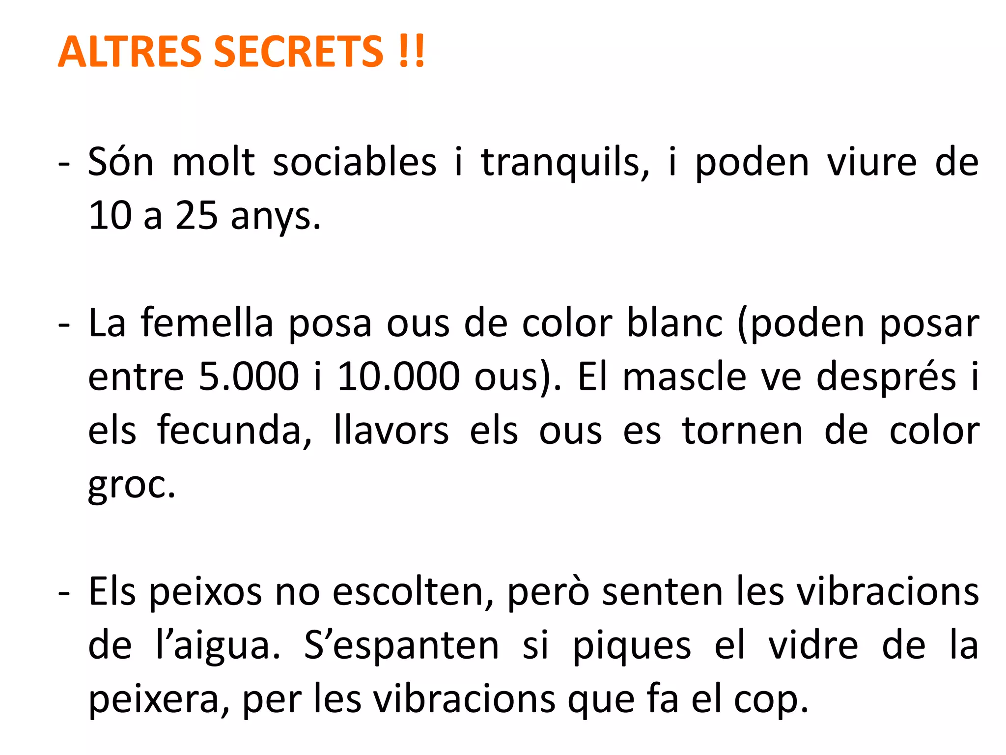 ALTRES SECRETS !!

- Són molt sociables i tranquils, i poden viure de
  10 a 25 anys.

- La femella posa ous de color blanc (poden posar
  entre 5.000 i 10.000 ous). El mascle ve després i
  els fecunda, llavors els ous es tornen de color
  groc.

- Els peixos no escolten, però senten les vibracions
  de l’aigua. S’espanten si piques el vidre de la
  peixera, per les vibracions que fa el cop.
 