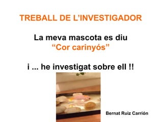 TREBALL DE L’INVESTIGADOR

  La meva mascota es diu
      “Cor carinyós”

 i ... he investigat sobre ell !!




                        Bernat Ruiz Carrión
 