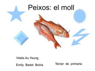 Peixos: el moll




Vitalis Au Yeung

Emily Badal Boiria   Tercer de primaria
 