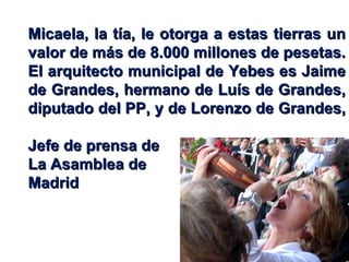 Micaela, la tía, le otorga a estas tierras un valor de más de 8.000 millones de pesetas. El arquitecto municipal de Yebes es Jaime de Grandes, hermano de Luís de Grandes, diputado del PP, y de Lorenzo de Grandes,  Jefe de prensa de La Asamblea de  Madrid 