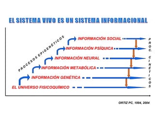 S
                                                                     O            INFORMACIÓN SOCIAL                   P
                                                                IC                                                     R
                                                            T
                                                        É                                                              O
                                                    N                        INFORMACIÓN PSÍQUICA
                                                E                                                                      C.
                                           IG
                                       P
                                   E
                               S                            INFORMACIÓN NEURAL                                         C
                           O                                                                                           I
                       S
                   E                                                                                                   N
               C
           O                           INFORMACIÓN METABÓLICA                                                          É
       R
   P                                                                                                                   T
                                                                                                                       I
                       INFORMACIÓN GENÉTICA                                                                            C
                                                                                                                       O
EL UNIVERSO FISICOQUÍMICO                                                                                              S




                                                                                                    ORTIZ PC, 1994, 2004
 