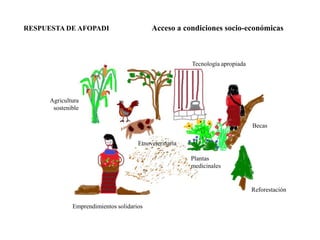 RESPUESTA DE AFOPADI                       Acceso a condiciones socio-económicas



                                                        Tecnología apropiada




      Agricultura
       sostenible

                                                                               Becas

                                      Etnoveterinaria

                                                        Plantas
                                                        medicinales


                                                                               Reforestación

              Emprendimientos solidarios
 