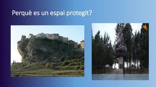 Perquè es un espai protegit?

 