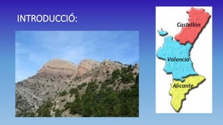 INTRODUCCIÓ:

 