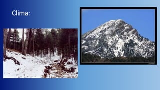 Clima:

 