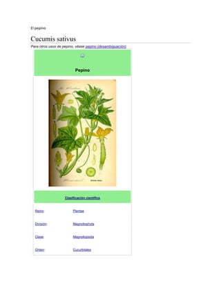 El pepino

Cucumis sativus
Para otros usos de pepino, véase pepino (desambiguación).




                           Pepino




                    Clasificación científica



  Reino:                 Plantae


  División:              Magnoliophyta


  Clase:                 Magnoliopsida


  Orden:                 Cucurbitales
 