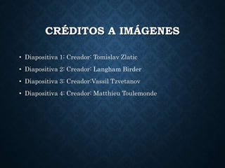 CRÉDITOS A IMÁGENES
• Diapositiva 1: Creador: Tomislav Zlatic
• Diapositiva 2: Creador: Langham Birder
• Diapositiva 3: Creador:Vassil Tzvetanov
• Diapositiva 4: Creador: Matthieu Toulemonde
 