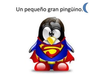 Un pequeño gran pingüino.
 