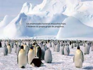Los enamorados tuvieron muuuchos hijos.
Y hicieron su propio grupo de pingüinos.
 