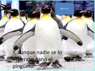 NO!!!!!!!




Y, aunque nadie se lo
esperaba ganó el
pingüino.
 