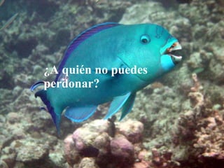 ¿A quién no puedes perdonar?