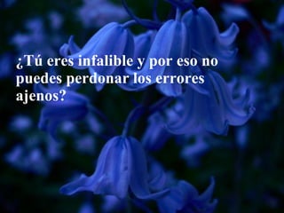 ¿Tú eres infalible y por eso no puedes perdonar los errores ajenos?