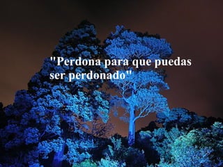 "Perdona para que puedas ser perdonado"
