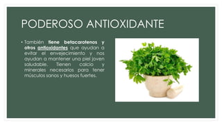 PODEROSO ANTIOXIDANTE
• También tiene betacarotenos y
otros antioxidantes que ayudan a
evitar el envejecimiento y nos
ayudan a mantener una piel joven
saludable. Tienen calcio y
minerales necesarios para tener
músculos sanos y huesos fuertes.
 