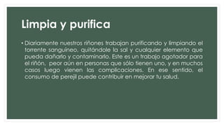 Limpia y purifica
• Diariamente nuestros riñones trabajan purificando y limpiando el
torrente sanguíneo, quitándole la sal y cualquier elemento que
pueda dañarlo y contaminarlo. Este es un trabajo agotador para
el riñón, peor aún en personas que sólo tienen uno, y en muchos
casos luego vienen las complicaciones. En ese sentido, el
consumo de perejil puede contribuir en mejorar tu salud.
 