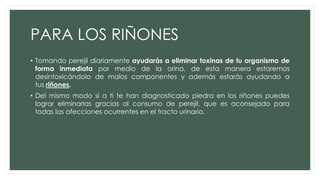 PARA LOS RIÑONES
• Tomando perejil diariamente ayudarás a eliminar toxinas de tu organismo de
forma inmediata por medio de la orina, de esta manera estaremos
desintoxicándolo de malos componentes y además estarás ayudando a
tus riñones.
• Del mismo modo si a ti te han diagnosticado piedra en los riñones puedes
lograr eliminarlas gracias al consumo de perejil, que es aconsejado para
todas las afecciones ocurrentes en el tracto urinario.
 