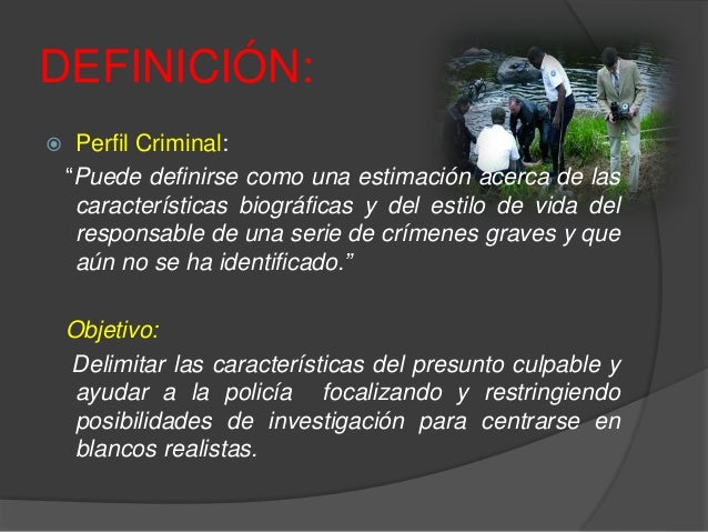 El perfil criminológico