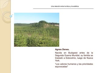 Una relación entre la ética y la estética
Agnes Denes.
Nacida en Budapest antes de la
Segunda Guerra Mundial, su familia se
trasladó a Estocolmo, luego de Nueva
York.
“Los valores humanos y las prioridades
equivocadas"
 
